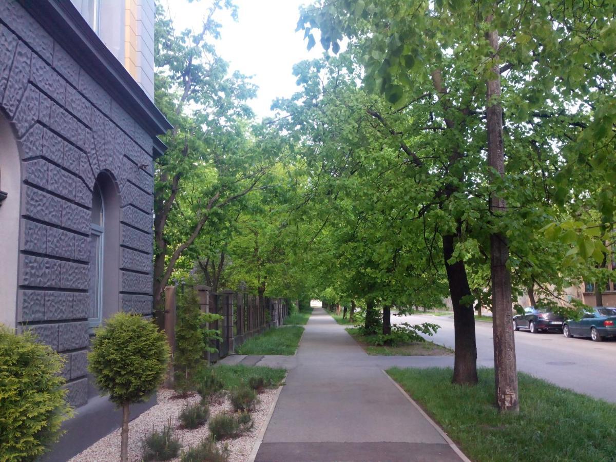 Апартаменты Premium Class Apartment, Free Parking, Maximum 5 Guests, 2 Bedrooms, 3 Beds *